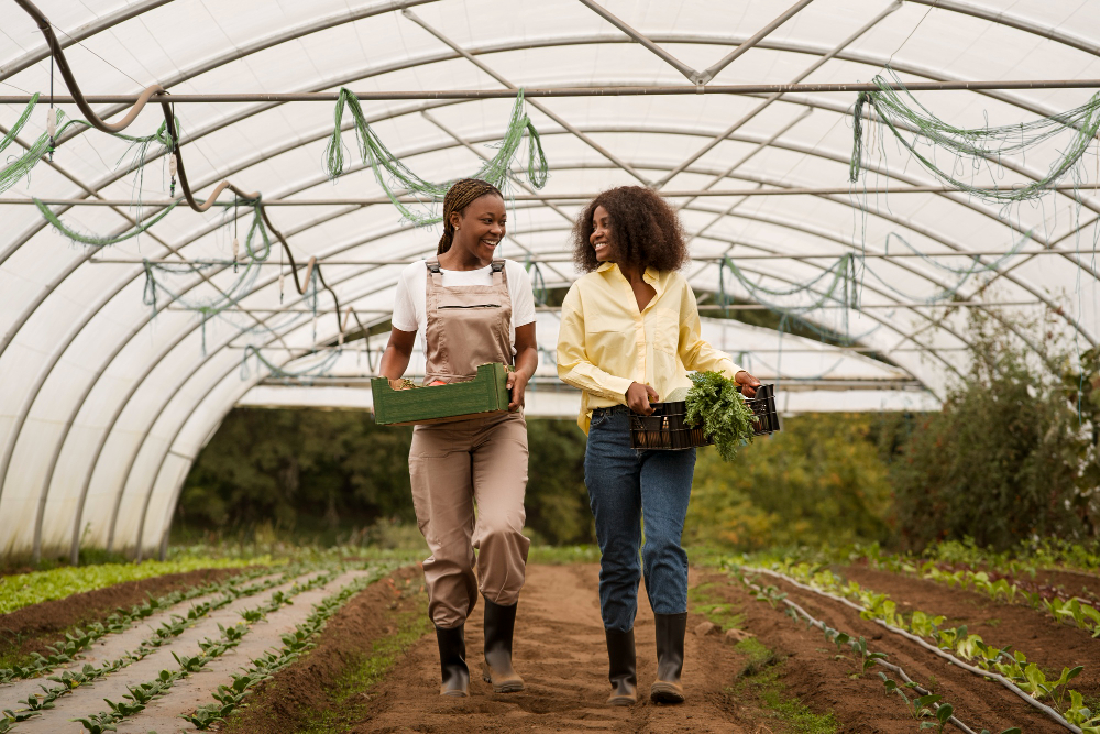 sustainable farming