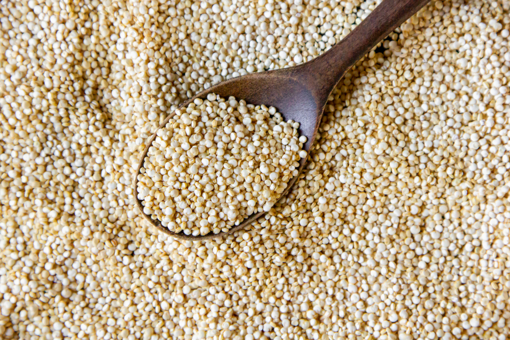 Sorghum